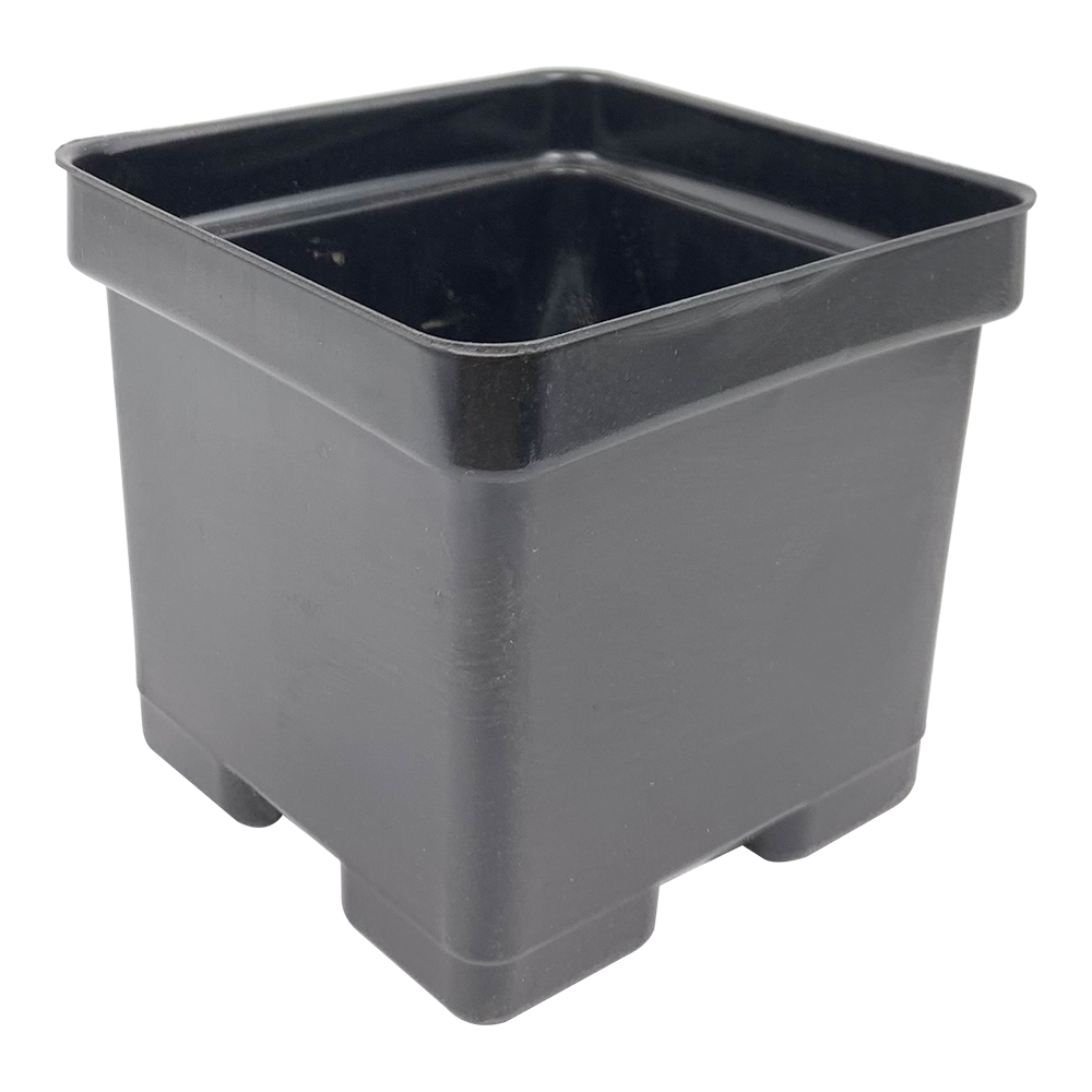 SQUARE POT 4.5 INCH